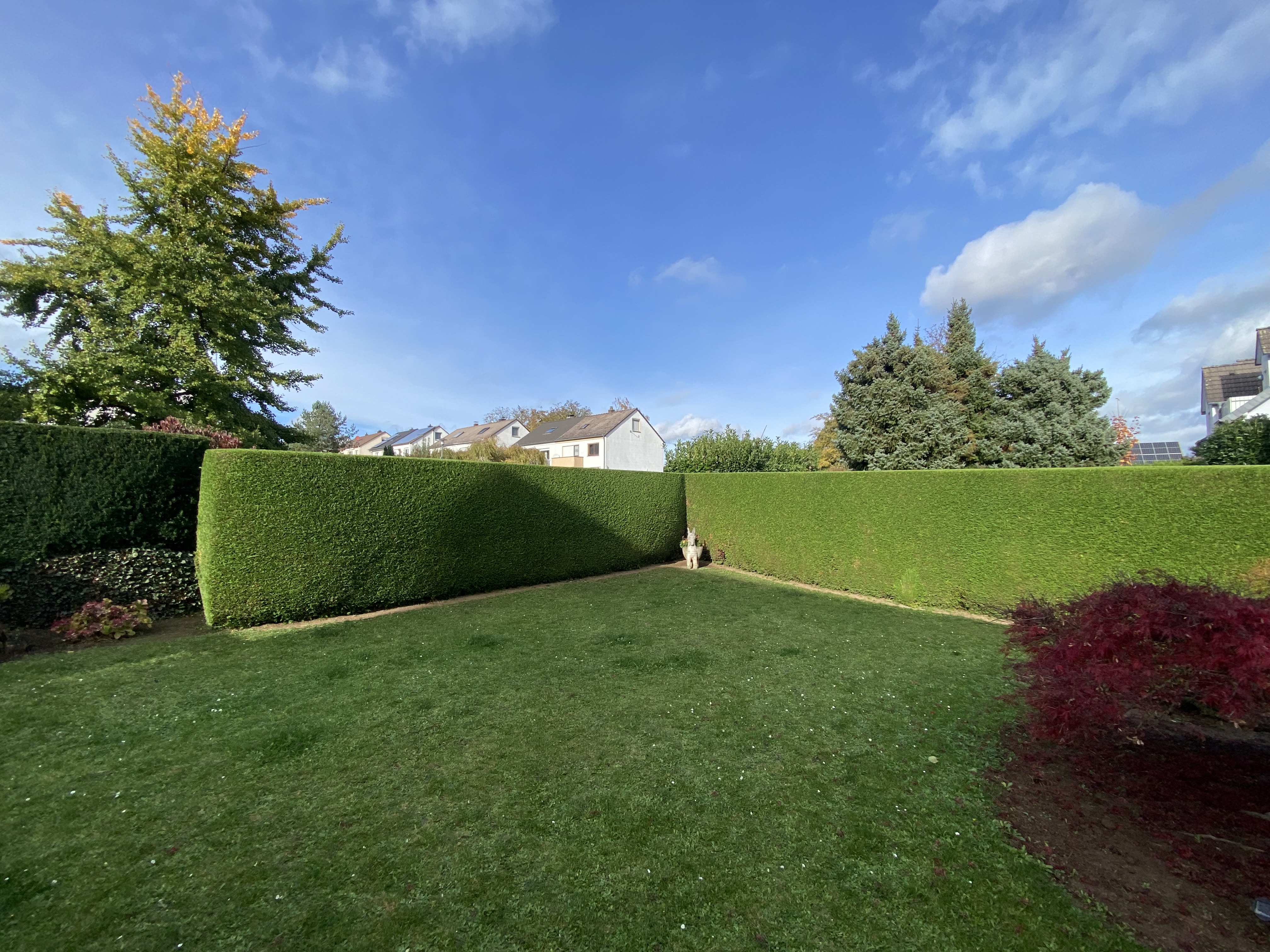 Gartenprojekt 5